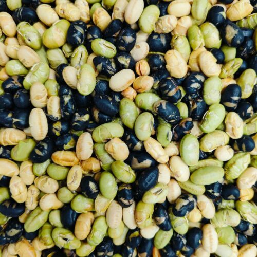 prrotien beans